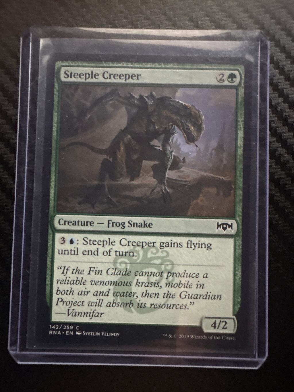 Steeple Creeper